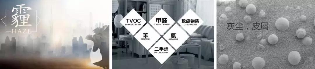 微信图片_20200204105704.jpg