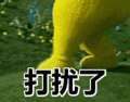 6.gif