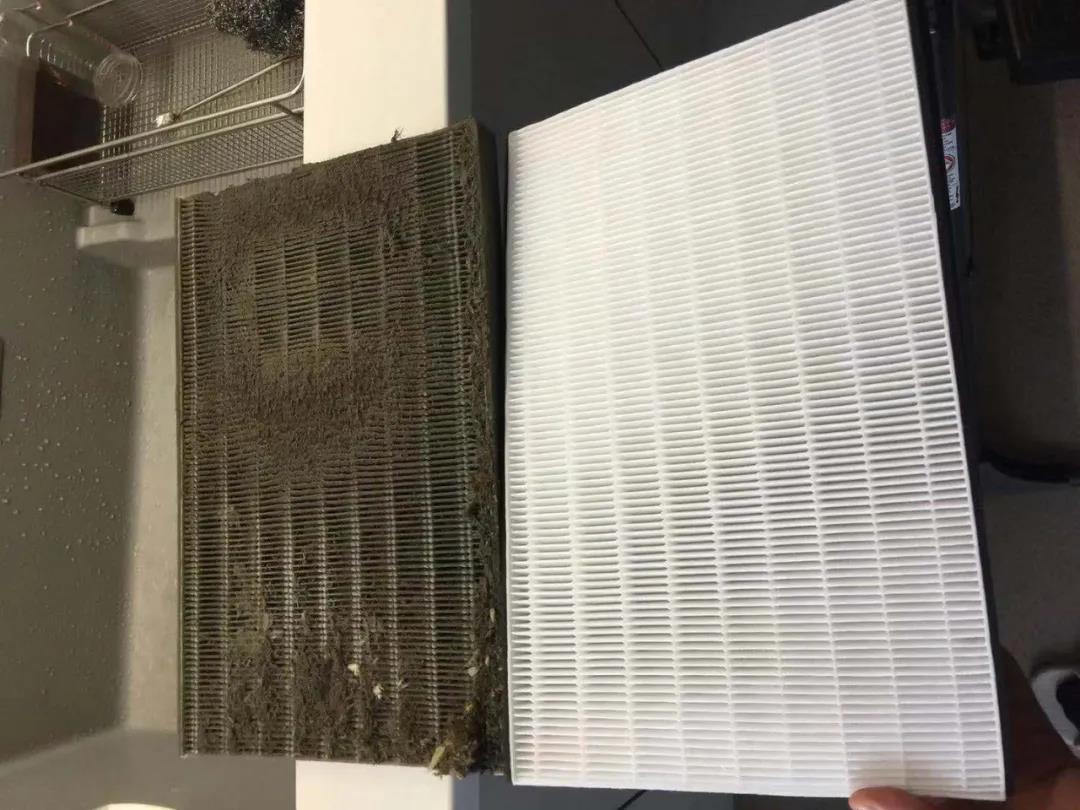 1585013473378037.jpg