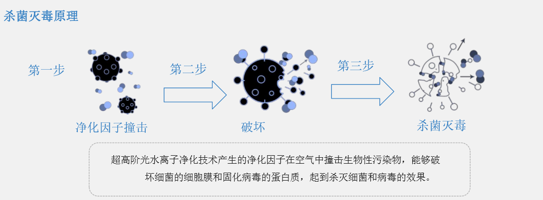 1587518104901988.png 图片2.png