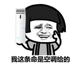微信图片_20200604090844.jpg