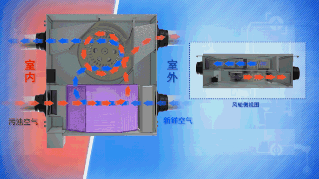 1616462687643495.gif