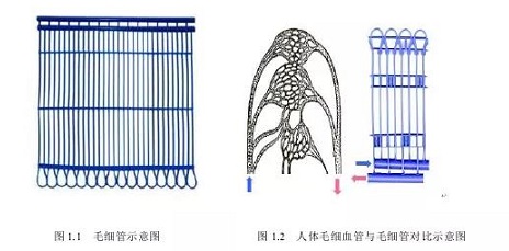 微信图片_20211230103906.jpg